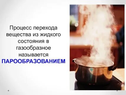 Дерево в газообразном состоянии