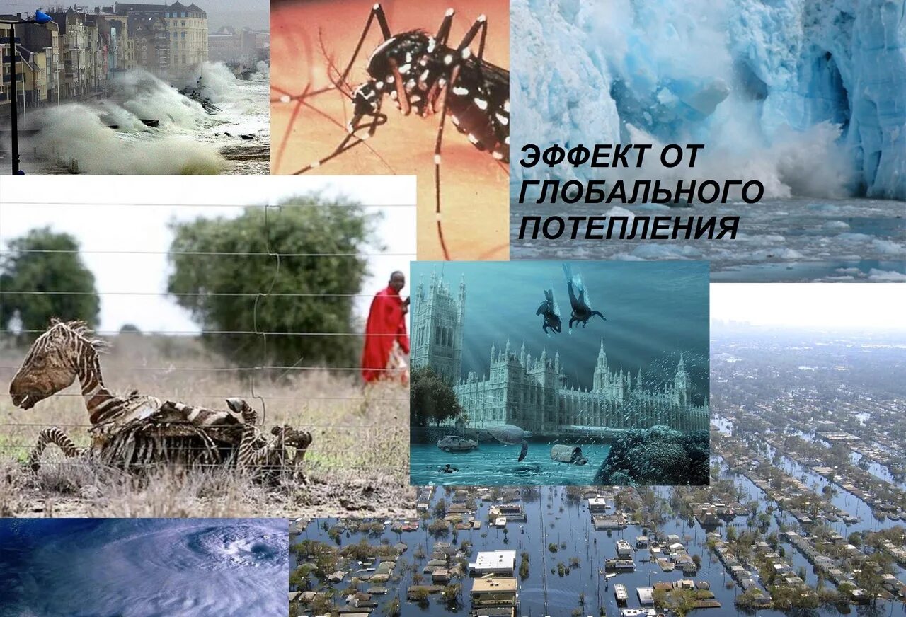 В каком городе можно ожидать потепление. Глобальное потепление в мире. глобальное потепление и человек. глобальные климатические изменения. изменение климата глобальное потепление.