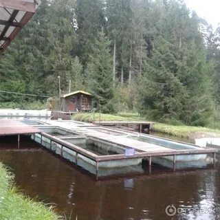 Клевое место валдай