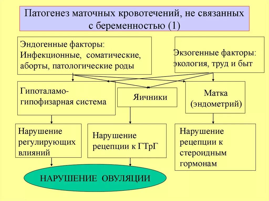 Маточное кровотечение при беременности. Аномальные маточные кровотечения патогенез. Патогенез маточных кровотечений. Маточное кровотечение этиология. Патогенез дисфункциональных маточных кровотечений.