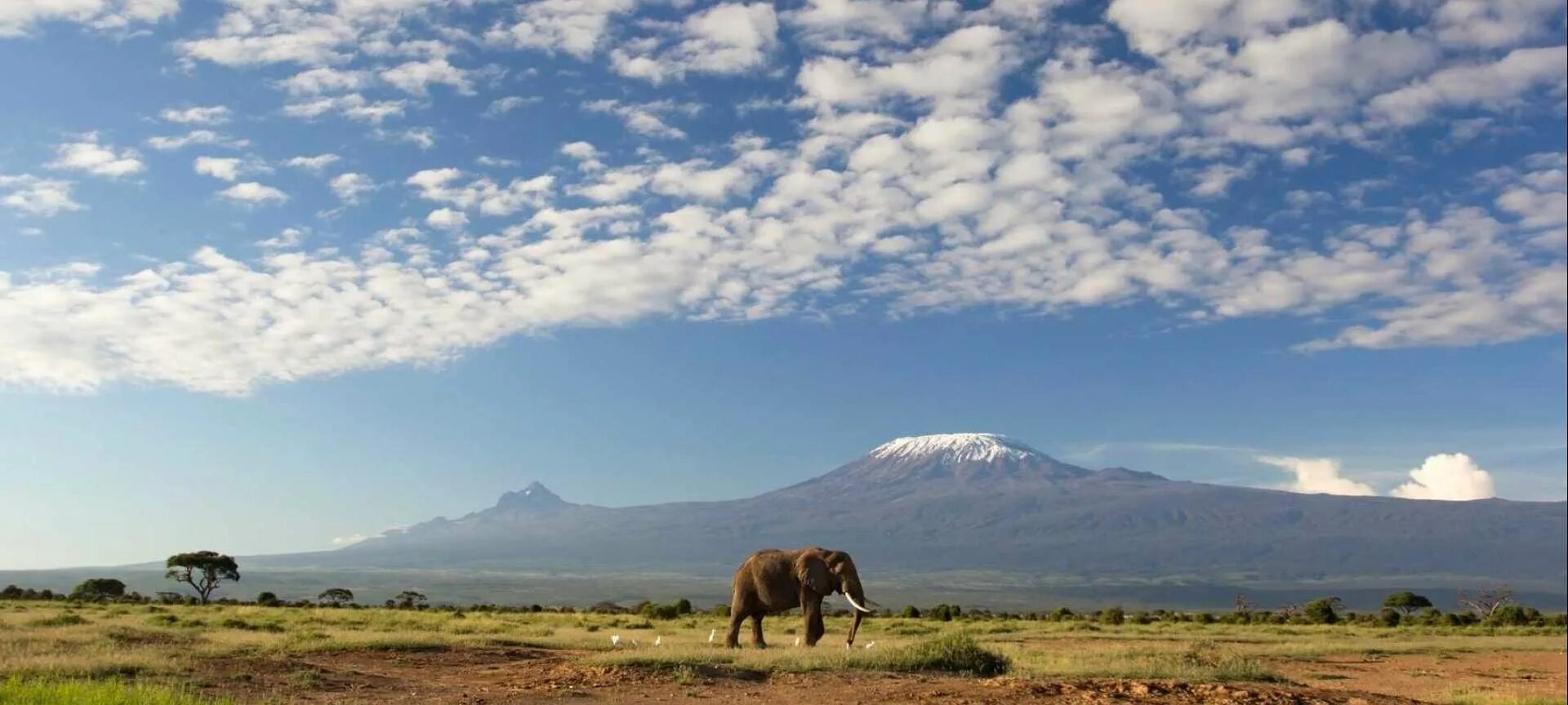 Танзания Килиманджаро. Амбосели Килиманджаро. Национальный парк Килиманджаро в Африке. Саванна гора Килиманджаро. See africa