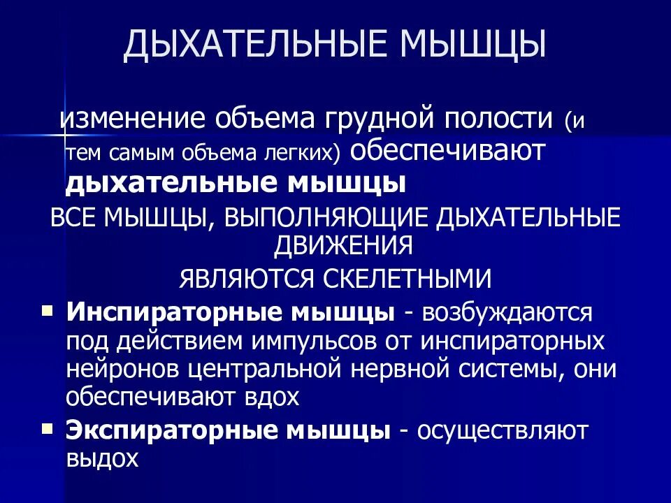 Функции дыхательных мышц. Инспираторные мышцы это физиология. дыхательные мышцы физиология. тренировка инспираторных мышц. инспираторные и экспираторные мышцы.