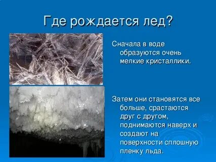 Жили льда