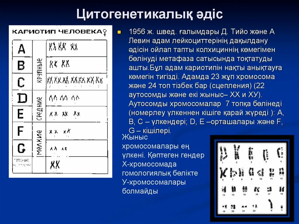 Какие методы используют для цитогенетического исследования. Цитогенетический метод. Цитогенетический метод генетики. Цитогенетика человека методы. Цитогенетический методто.