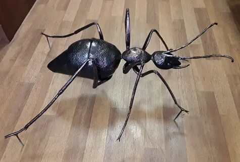 Из проволоки сделаны два квадрата муравей