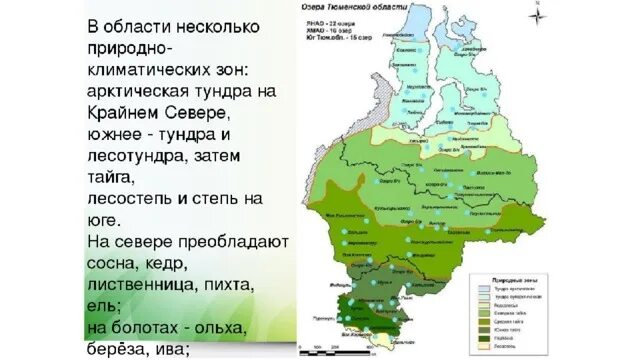 В какой зоне расположена свердловская область. Карта природных зон Тюменской области. Природно климатические зоны Тюменской области. Природные зоны Западно сибирской равнины на карте. Природные зоны ЯНАО карта.