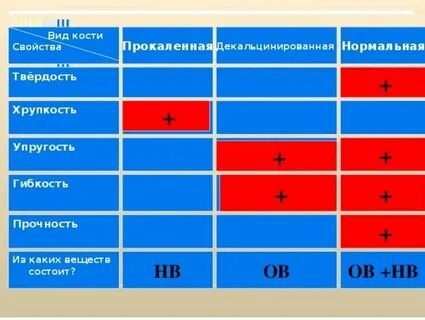 Почему прокаленная кость хрупкая и твердая