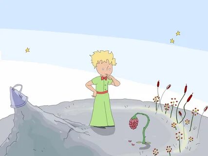 Маленький принц маленькая принцесса