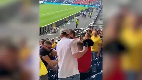 Литвин напал на фаната