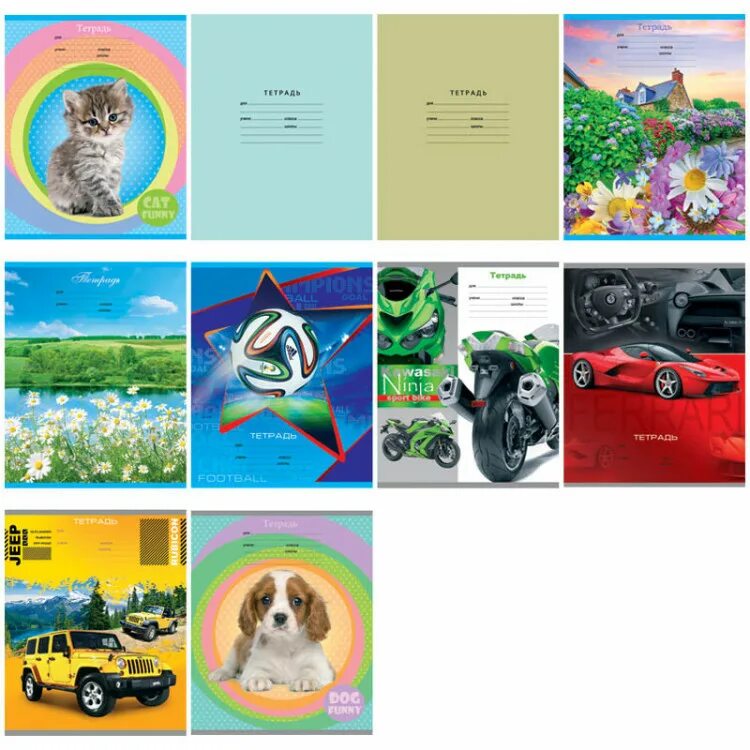 Тетрадь ассорти. Erich krause классика pastel тетрадь. Тетрадь ассорти. Тетрадь школьная 24л клетка бендеры. Тетрадь 48л.