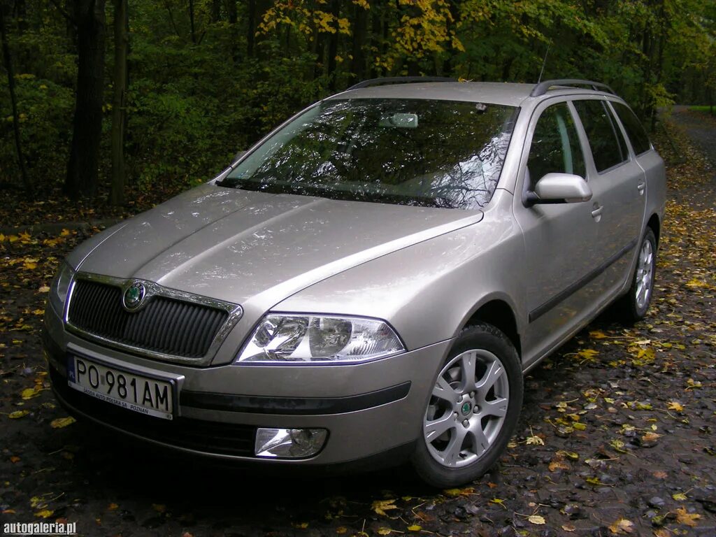 Шкода 1.9 TDI. Купить шкоду 2006