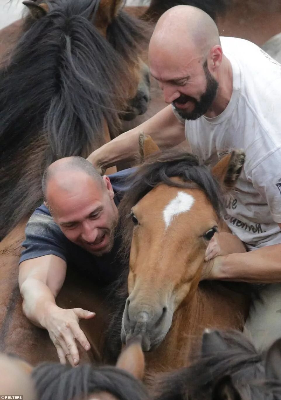 Народы на лошадях. Балагур лошадь пал. Кони люди какие то. Человек конь. Кони люди какие то.