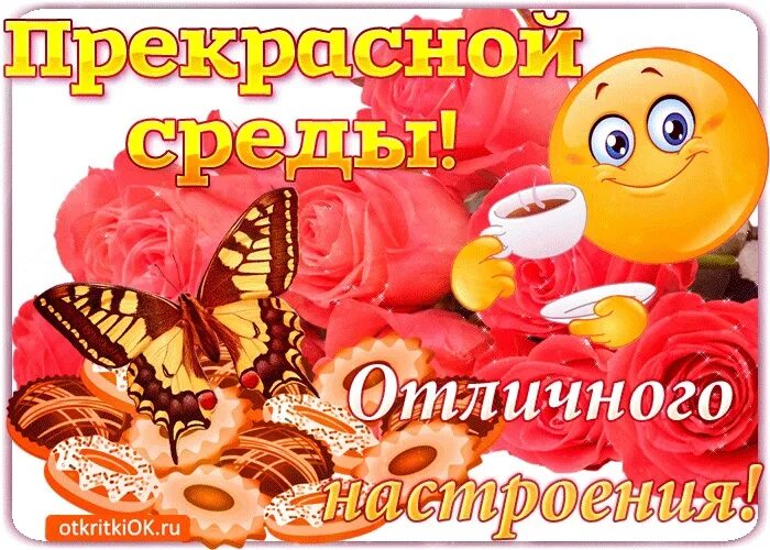 Доброе утро среда прекрасного настроения. Открытки прекрасной среды. удачной среды и отличного настроени. открытки поздравления со средой. открытки с добрым утром среды.