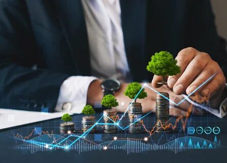 Investment business