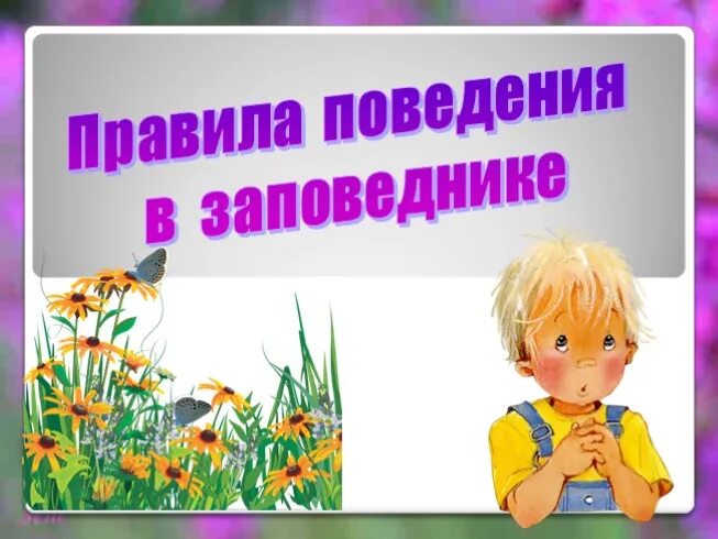 Поведение в заповеднике. Правила поведения в заповеднике. правила поведения в заповеднике для детей. памятка поведения в заповеднике. памятка правила поведения в заповеднике.