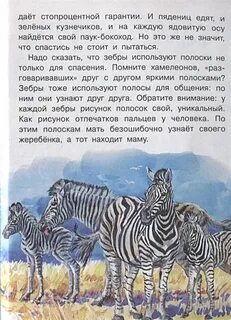 Почему у зебр не бывает инфаркта