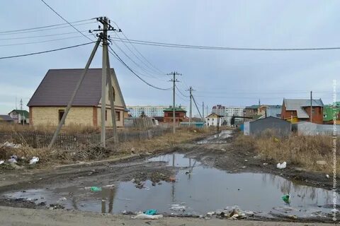 Ли ходит омск