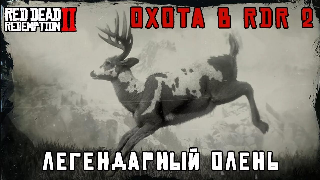 Легендарный олень в рдр 2. Легендарный олень rdr2. Red Dead Redemption 2 олень вапити. Легендарный олень вапити rdr 2. Охота на легендарного оленя в РДР 2.