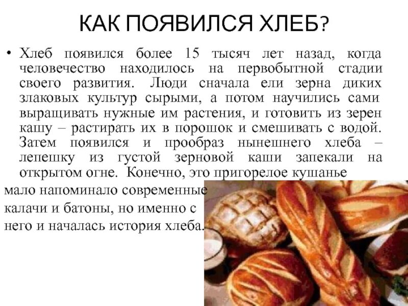 Когда появилось первое тесто. Доклад про хлеб. Сообщение о хлебе. Сообщение о хлебобулочных изделиях. Рассказ о хлебе.