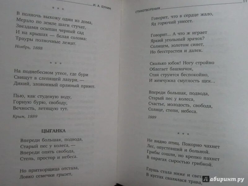 Бледнеет ночь туманов пелена в лощинах и лугах становится белее. Стихотворение бунина. Бунин летняя ночь стихотворение. Бунин ночь стихотворение. А.