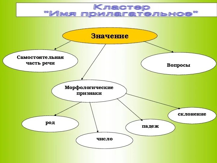 Обобщение имя прилагательное 6 класс. Кластер имя прилагательное. кластер по теме имя прилагательное. кластер по русскому языку прилагательное. кластер схема прилагательное.