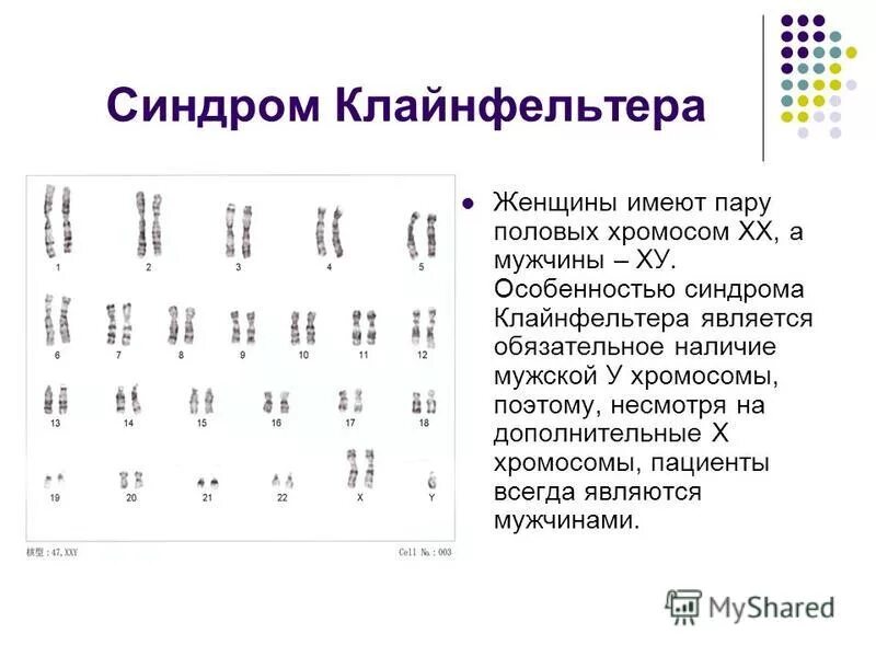 Синдром клайнфельтера наследственное