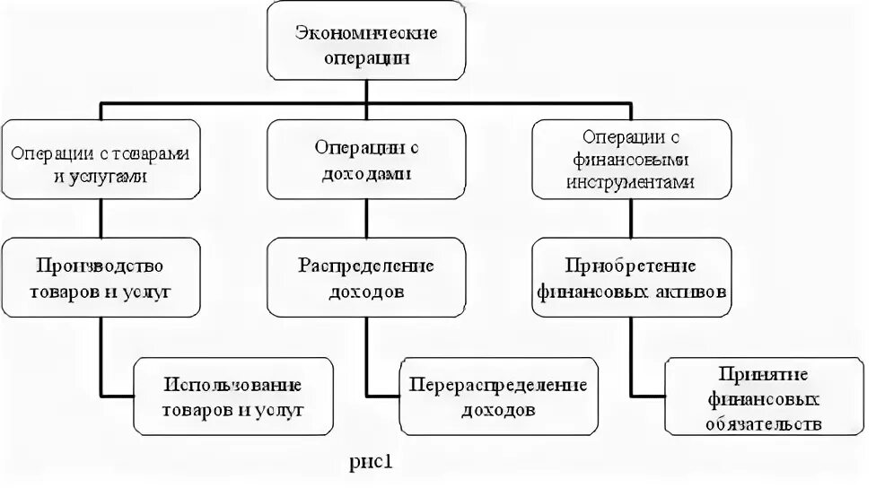 Виды операций в экономике. Типы экономических операций. Экономические операции примеры. Виды экономических операций Обществознание.