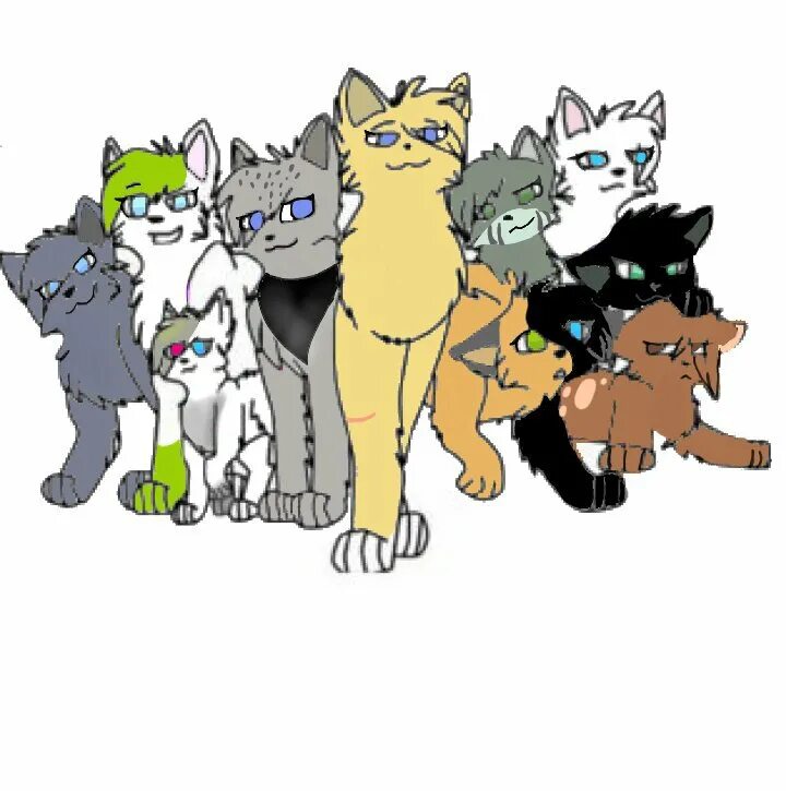 коты воители группа. коты воители много. коты воители адопты.