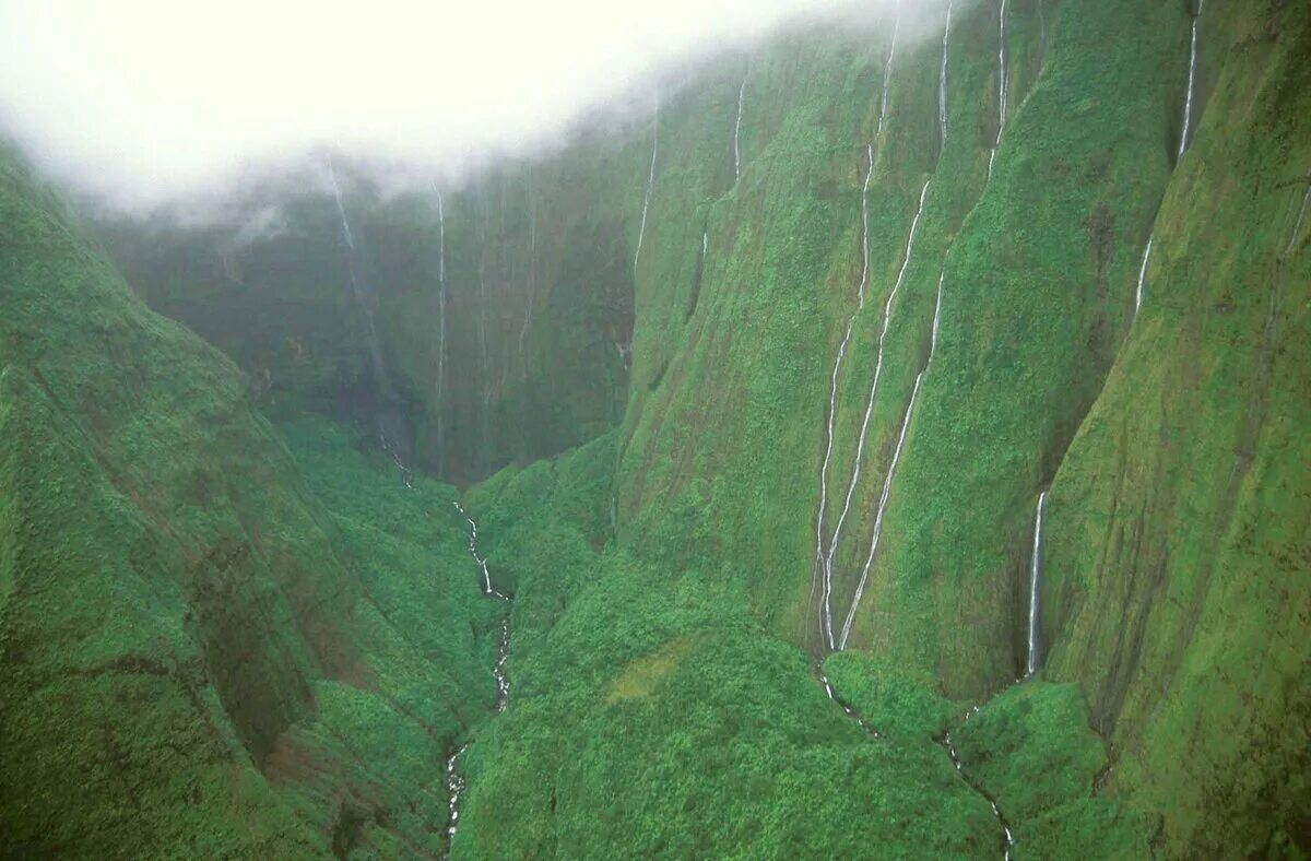 Самая влажная точка. Водопад Хонокохау. Водопад Хонокохау Мауи. Гора Вайалеале Гавайские острова. Гора Вайалеале на острове Кауаи.