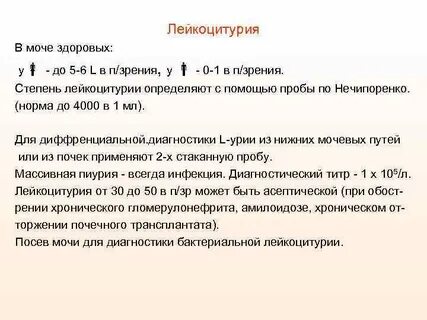 Лейкоцитурия в моче