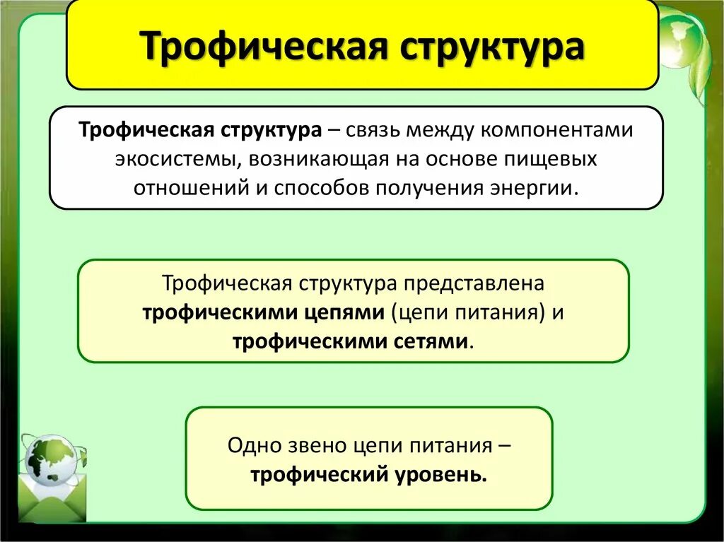 Трофическая структура сообщества. Трофическая структура виды связи. Трофическая структура кратко. Трофическая структура определение и пример.