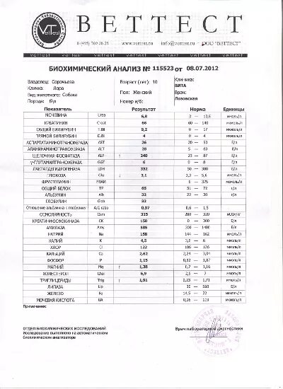 Щелочная фосфатаза повышена у собаки что значит. Щелочная фосфатаза у собак норма. щелочная фосфатаза норма у собаки в крови. норма щелочной фосфатазы у собак. щф в биохимическом анализе у собаки норма.