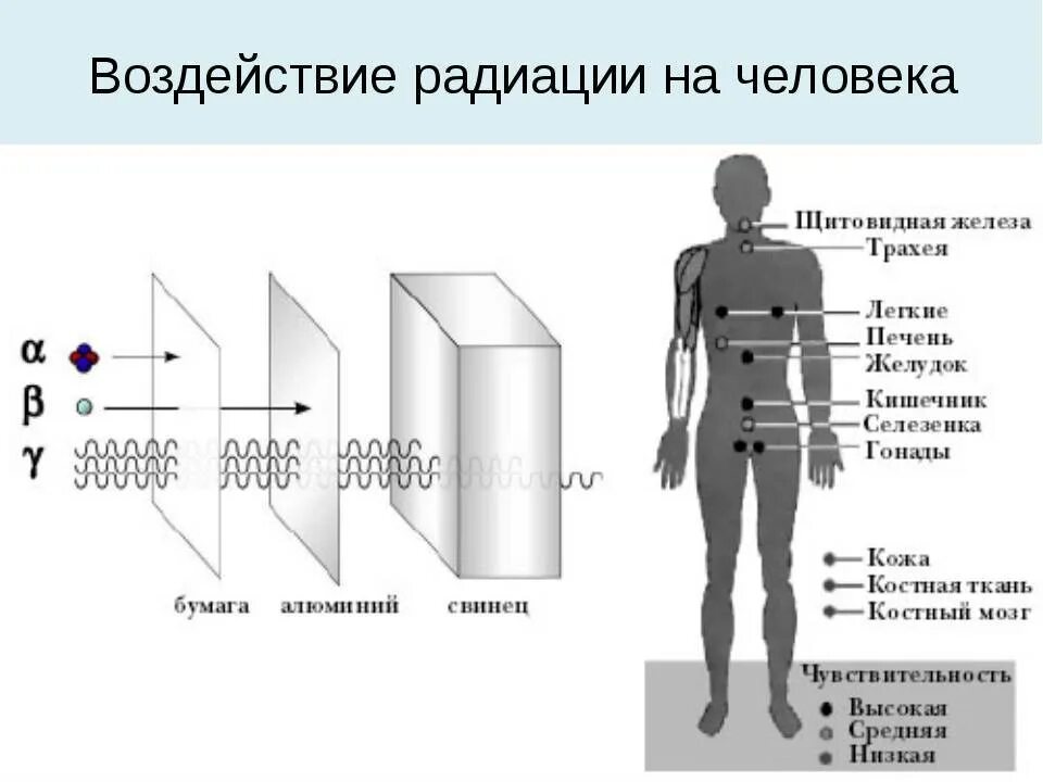 Можно ли делать два рентгена подряд