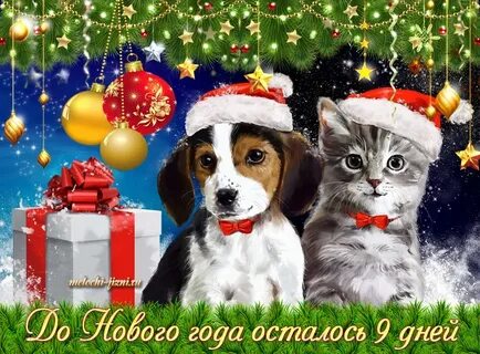 Когда будет новый год через сколько