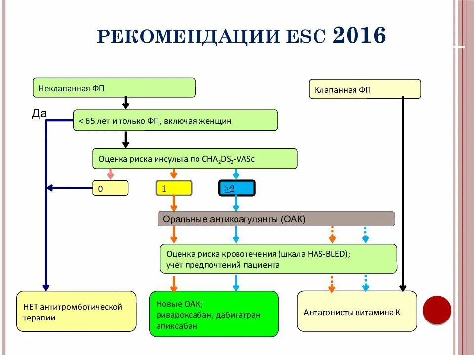 Антикоагулянтная терапия при фибрилляции. Алгоритм антикоагулянтной терапии. назначение антикоагулянтов схема. схема антикоагулянтной терапии. антитромботическая терапия при инсульте.