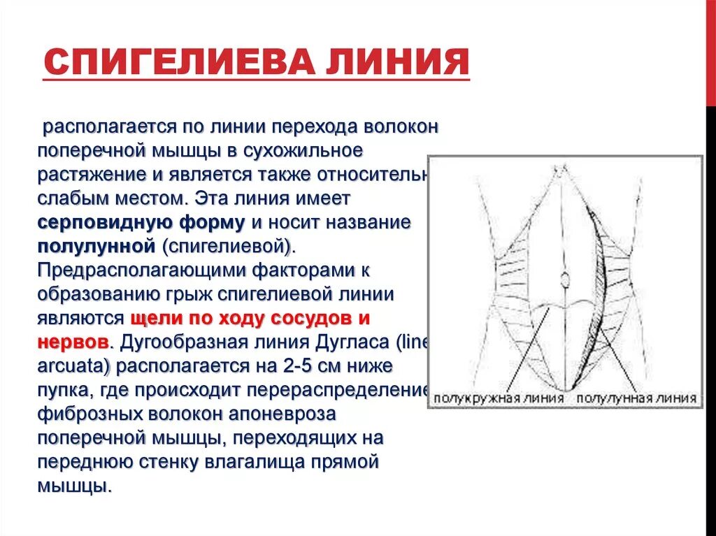 Паховая грыжа (Феодор) / Стихи.ру