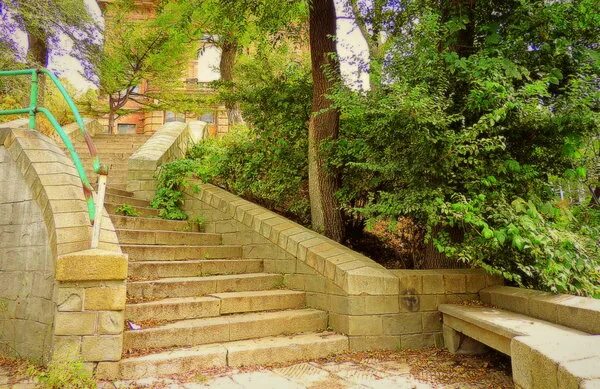 Ступени годы. Лестницы Владивосток. Каменная лестница Владивосток. Лестница в лето. Ступеньки в городе.