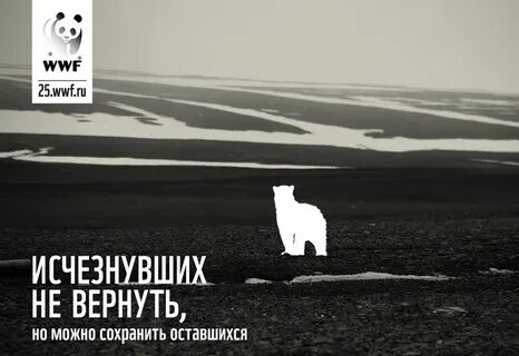 Вернем былое величие