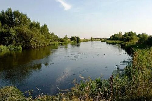 Парский угол тамбовская область. Парский угол тамбовская область. Погода парский угол. Деревня парский угол тамбовская область. Парский угол тамбовская область.