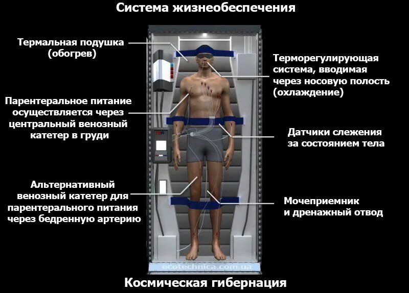 Перечислите системы жизнеобеспечения