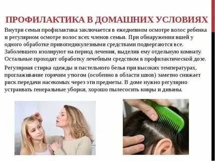 Педикулез сколько дней карантин