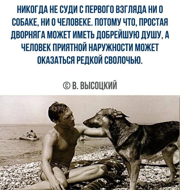 Что человек никогда не сделает. Никогда не суди с первого взгляда ни о собаке. Никогда не судите с первого взгляда ни о собаке ни о человеке. Никогда не судите о человеке и собаке. Высоцкий никогда не суди с первого взгляда.