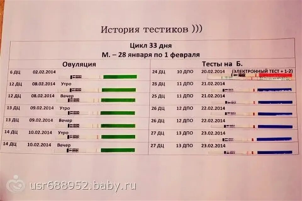 31 День цикла тест на беременность. 25 День цикла тест на беременность. 25 День цикла покажет ли тест беременность. Тест на беременность на 28 день цикла. Овуляция при 30 дневном