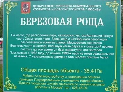 Пушкино березовая роща