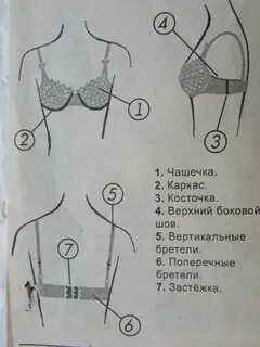 Чашечка б