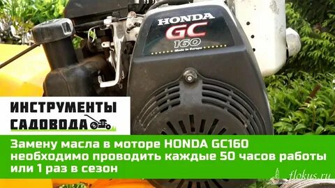 Масло двигателя тарпан