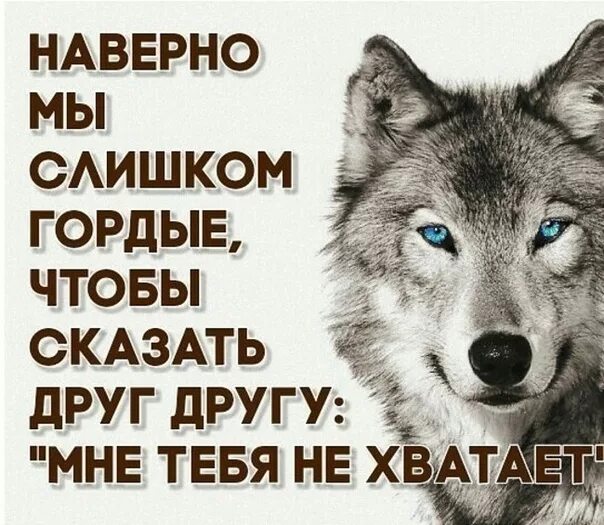 Гордый человек цитаты