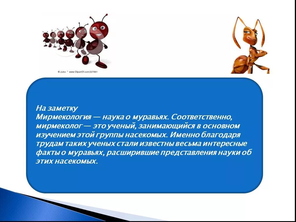 Муравьев спасибо жизнь. Муравьи презентация. Интересные факты о муравьях. Презентация про муравьев. Презентация про муравьёв.