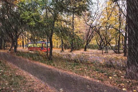 Осень в сокольниках слушать