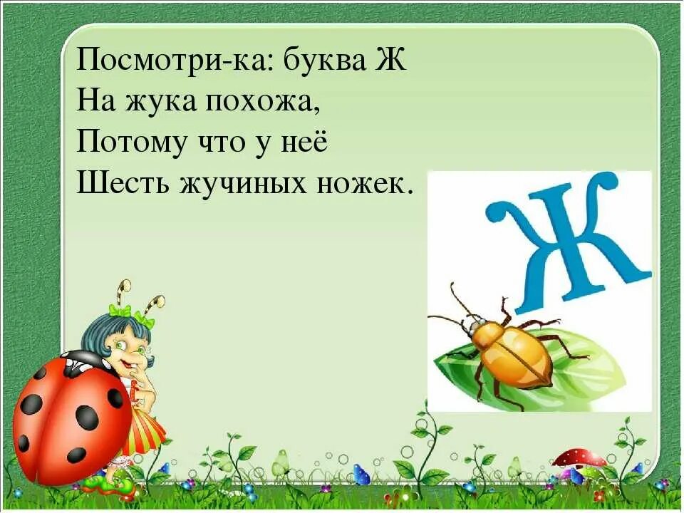 Стих про букву ж. Стихи на букву ж для детей. Стих про букву ж для дошкольников. Загадка про букву ж. Ж жит